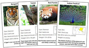 Animals of Asia Information Cards (color-coded) - Montessori Print Shop