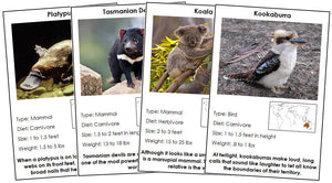 Animals of Australia/Oceania Information Cards (color-coded) - Montessori Print Shop