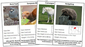 Animals of Europe Information Cards (color-coded) - Montessori Print Shop