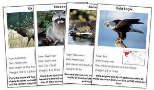Animals of North America Information Cards - Montessori Print Shop