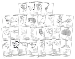 Animals of the World Information Cards Blackline Master Bundle - Montessori Print Shop