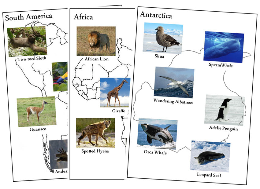 Animals of the Continents Set 1 - Montessori Print Shop