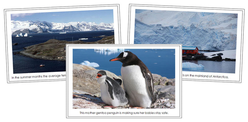 Antarctica Continent Cards (color borders) - Montessori Print Shop geography