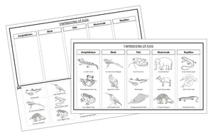 Asia Vertebrate Sorting Blackline Masters - Montessori Print Shop animal activity