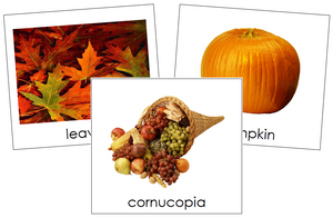 Autumn Season Cards Toddler Cards - Montessori Print Shop