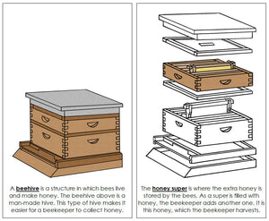 Beehive Nomenclature Book - Montessori Print Shop