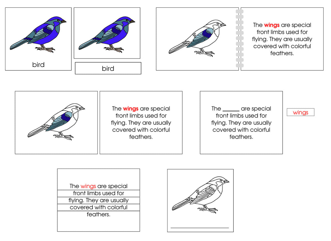 Bird Definition Set - Montessori Print Shop nomenclature