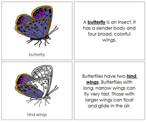Parts of a Butterfly Nomenclature Book - Montessori Print Shop