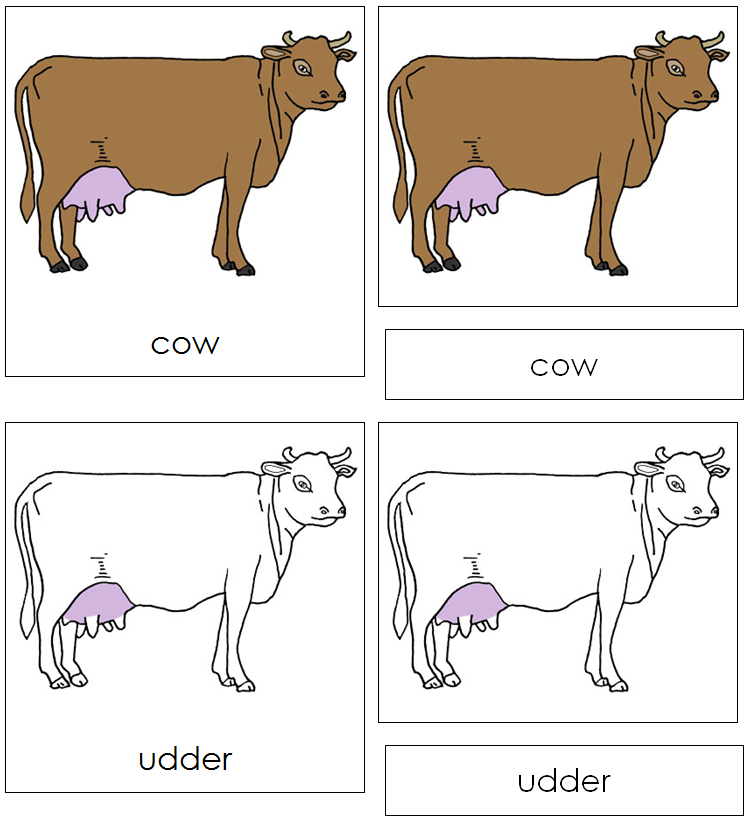 Cow Nomenclature Cards - Montessori Print Shop