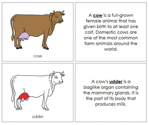 Cow Nomenclature Book (red) - Montessori Print Shop