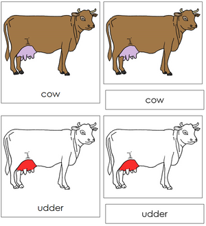 Cow Nomenclature 3-Part Cards (red) - Montessori Print Shop