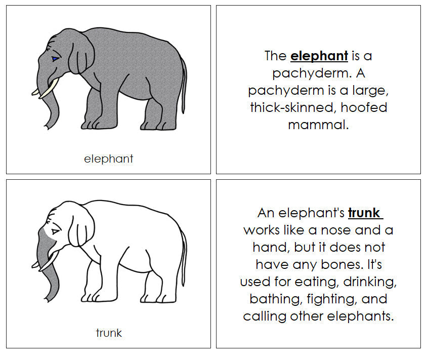 Parts of an Elephant Nomenclature Book - Montessori Print Shop