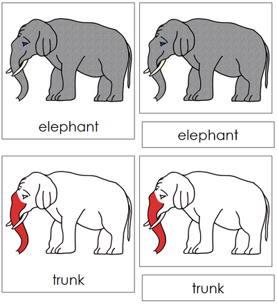 Elephant Nomenclature Cards (red) - Montessori Print Shop