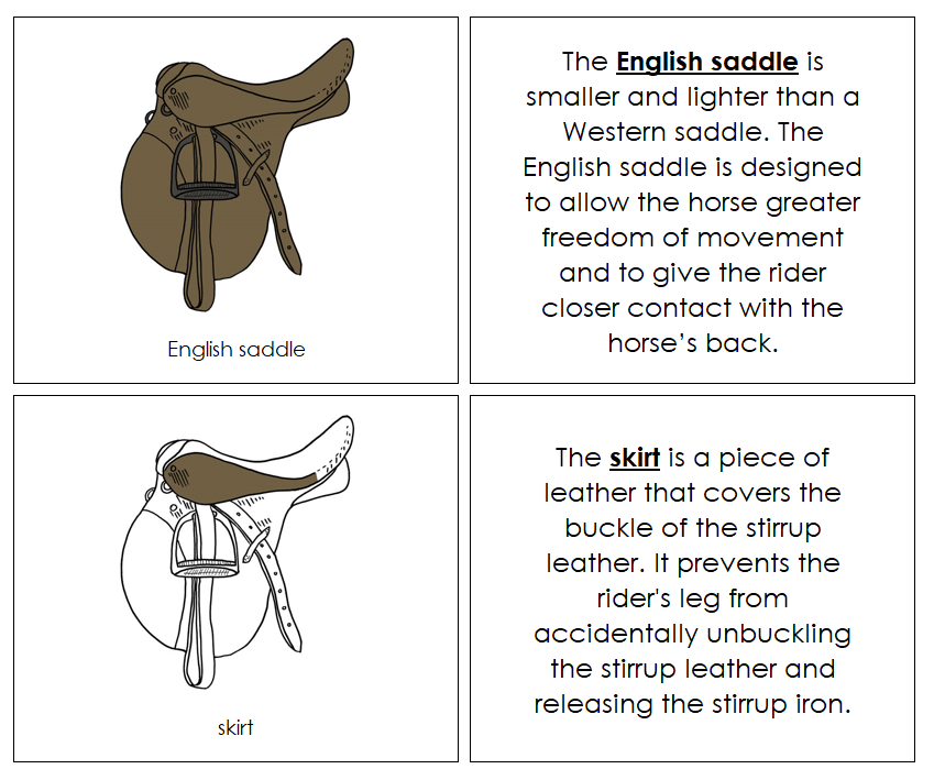 English Saddle Nomenclature Book - Montessori Print Shop