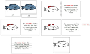 Fish Definition Set - Montessori Print Shop nomenclature