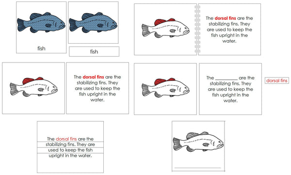 Fish Definition Set (red) - Montessori Print Shop