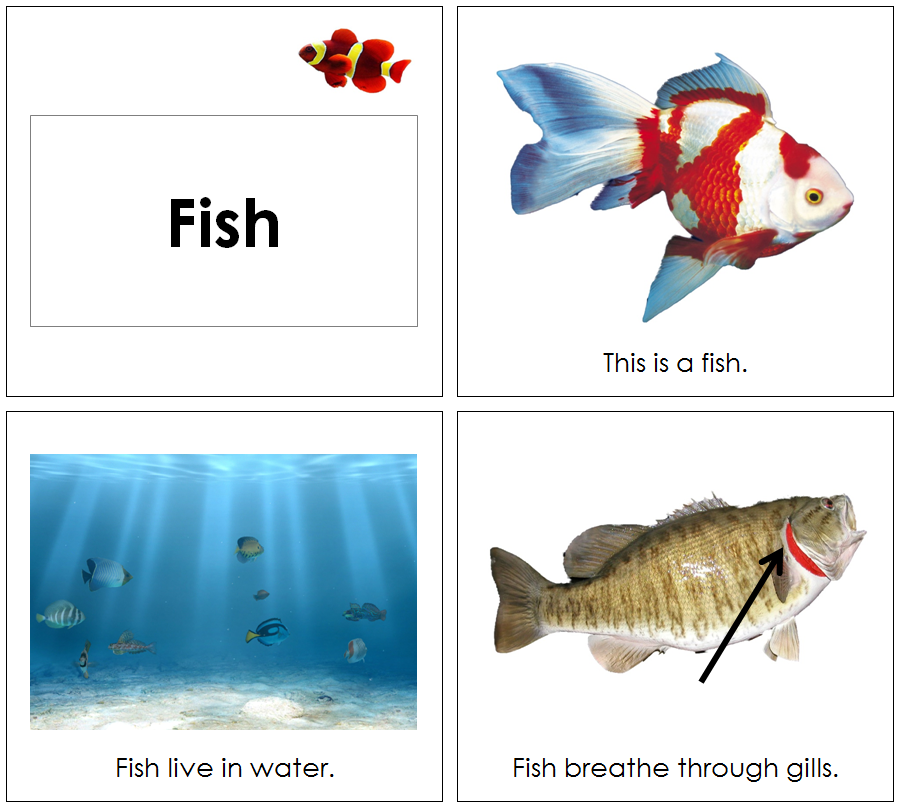 Fish Book - Toddler - Montessori Print Shop