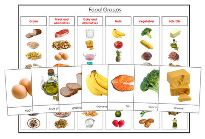 Food Group Cards & Chart - Montessori Print Shop