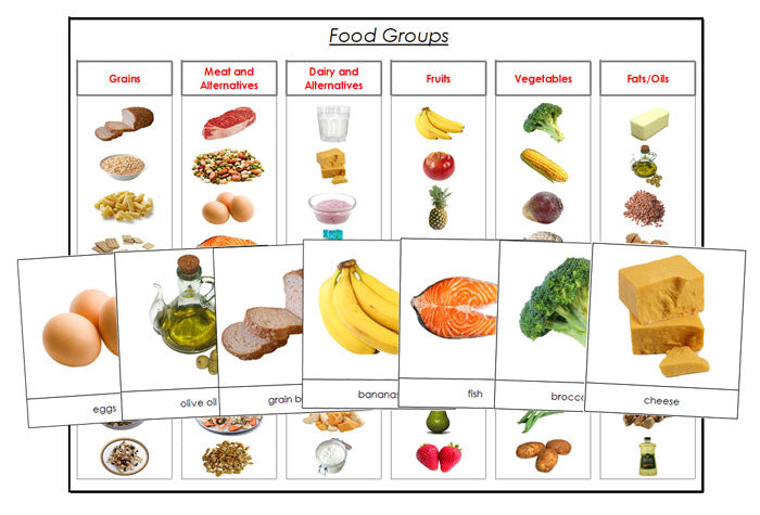Food Groups - Montessori Print Shop - health materials