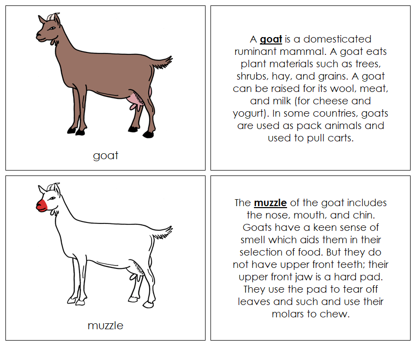 Worksheets About Goats