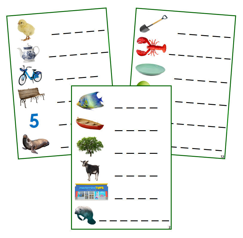 Green Phonogram Spelling Cards - Set 1 (photos) - Montessori Print Shop phonogram language program