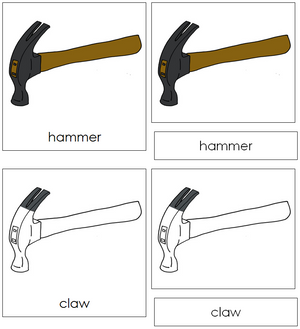 Hammer Nomenclature 3-Part Cards - Montessori Print Shop