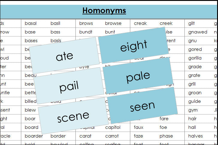 Types of Synonym and Homonym Errors Discovered through Card-Sort