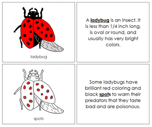 Parts of a Ladybug Nomenclature Book (red) - Montessori Print Shop
