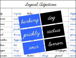 Logical Adjectives Matching Cards - Montessori Print Shop Grammar Lessons
