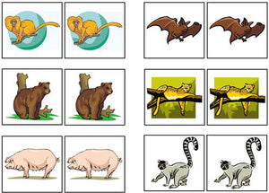 Mammal Match-Up & Memory Game - Montessori Print Shop