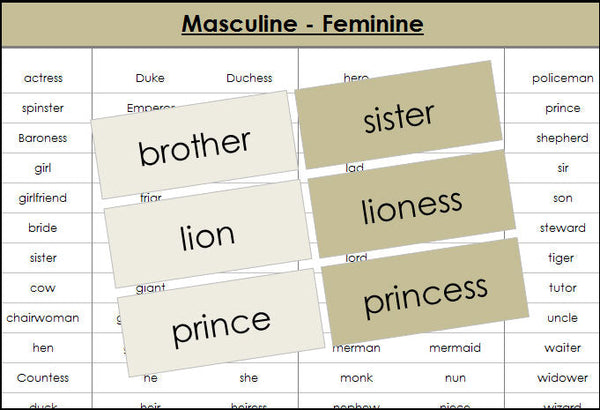 Masculine & Feminine Word Cards (color) - Montessori Print Shop