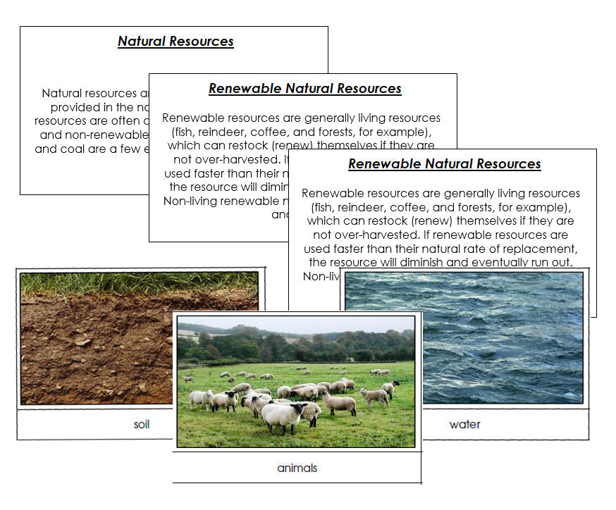 Non Renewable Natural Resources Examples