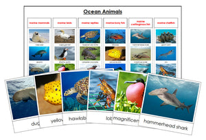 Ocean Animals Sorting Cards & Control Chart - Montessori Print Shop science activity