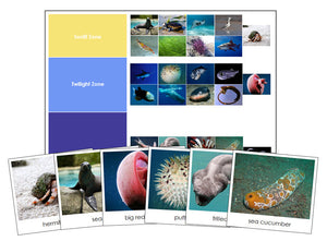 Ocean Zones and Animals - Montessori Print Shop zoology materials