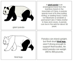Giant Panda Nomenclature Book - Montessori Print Shop