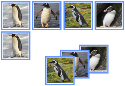 Penguin Matching Cards - Montessori Print Shop