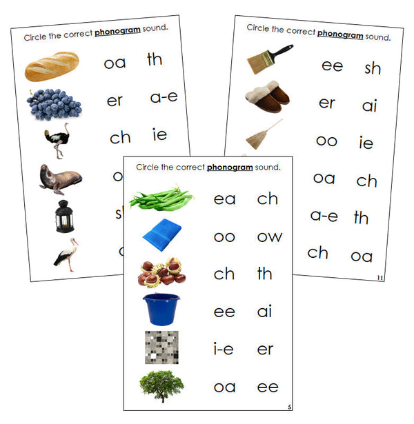 Phonogram Sound Choice Cards Set 1 Step 3 (photos) - Montessori Print Shop