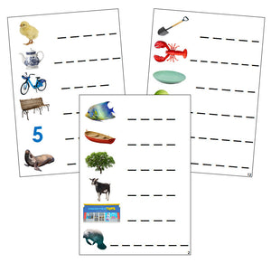 Step 3: Phonogram Spelling Cards - Set 1 (photos) - CURSIVE - Montessori Print Shop language lesson