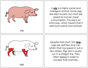 Pig Nomenclature Book (red) - Montessori Print Shop