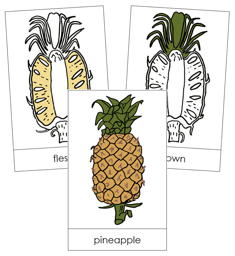 Pineapple Nomenclature Cards - Montessori Print Shop