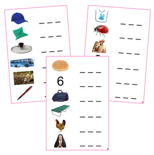 Pink Spelling Cards (photos) - Montessori Print Shop PInk Language Series