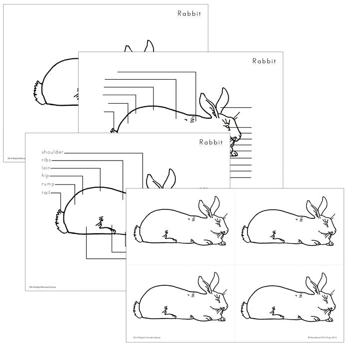 Elementary Rabbit Nomenclature - Montessori Print Shop