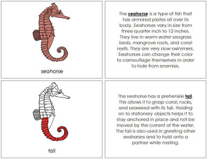 Seahorse Nomenclature Book (red) - Montessori Print Shop