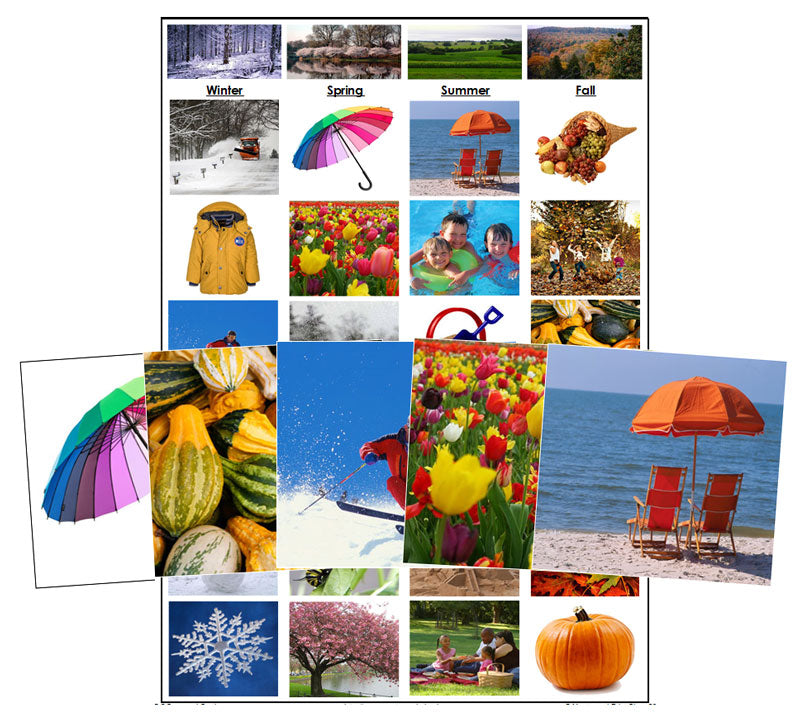 Seasonal Sorting Cards - Montessori Print Shop