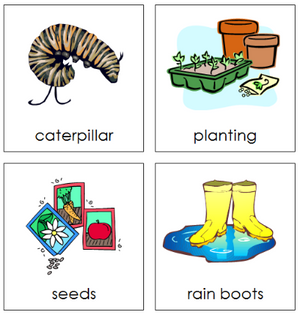 Seasonal Story Words - Montessori language cards