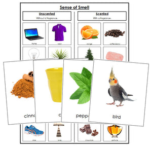 Sense of Smell Sorting Cards - Montessori Print Shop
