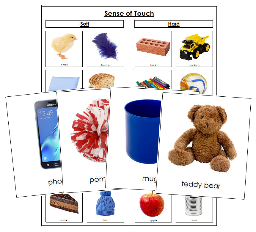 Sense of Touch Sorting Cards (Set 1) - Montessori Print Shop