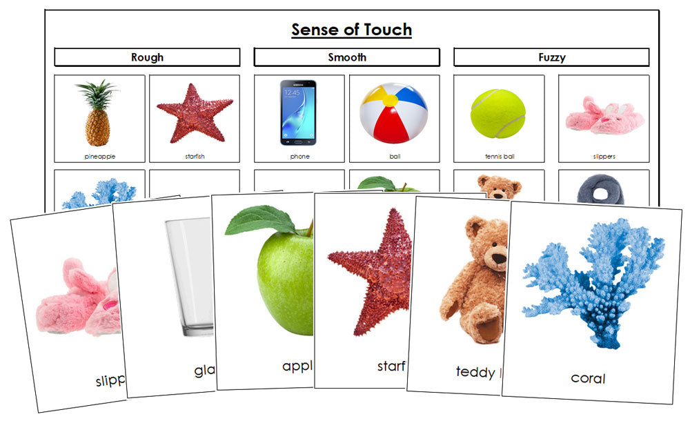 Sense of Touch Sorting Cards (Set 3) - Montessori Print Shop