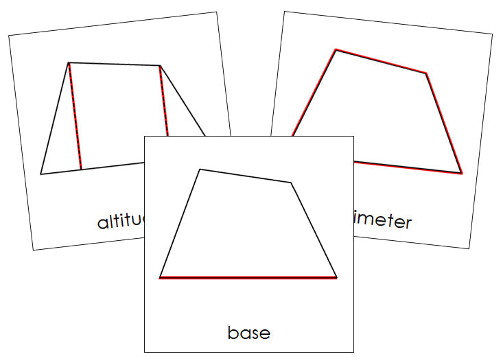 Study of a Quadrilateral Cards - Montessori Print Shop geometry cards