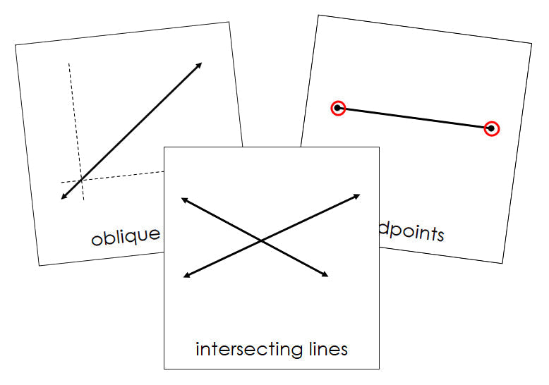 The Study of Lines Cards - Montessori Print Shop